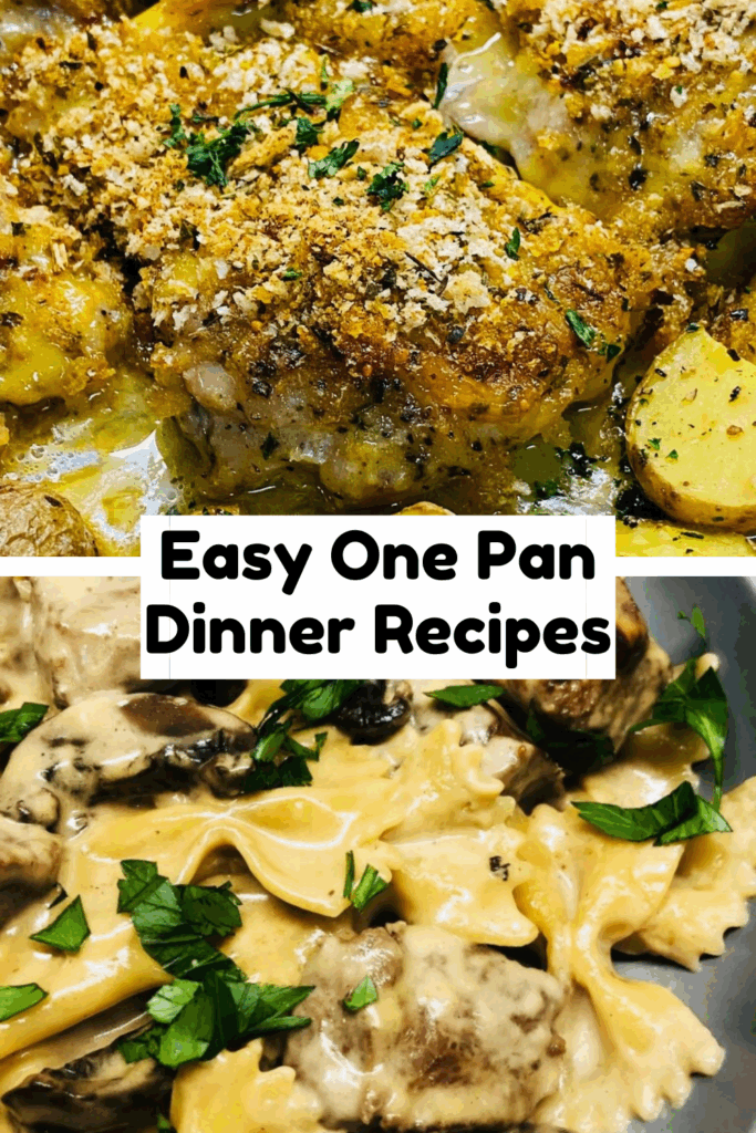 Easy One Pan Dinner Recipes