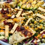 Chicken Potsticker Chili Crisp Salads
