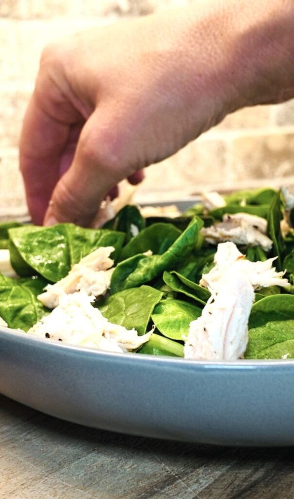 Chicken Salad with Lemon Basil Honey Vinaigrette